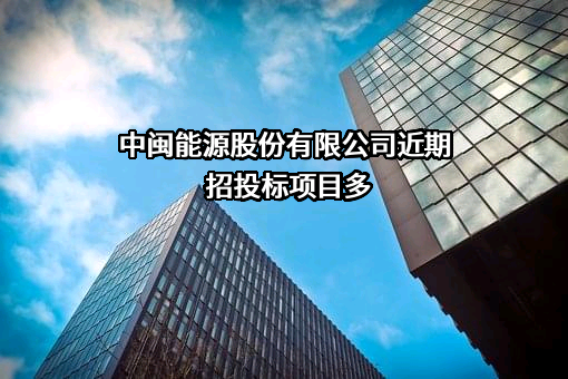中闽能源股份有限公司
