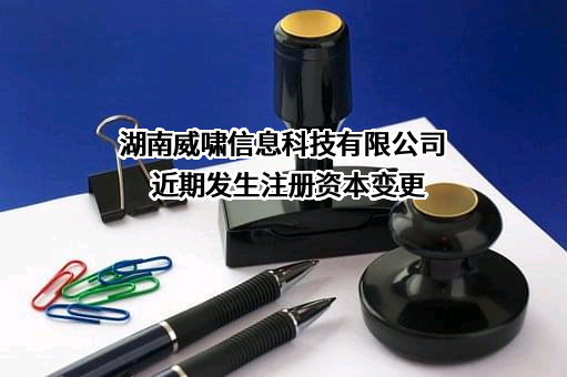 湖南威啸信息科技有限公司