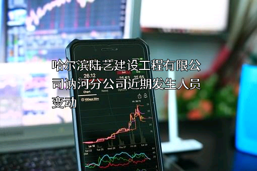 哈尔滨陆艺建设工程有限公司讷河分公司