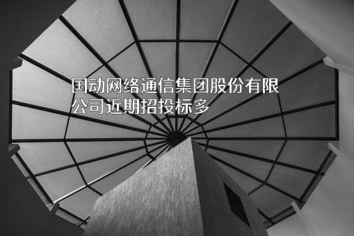 国动网络通信集团股份有限公司