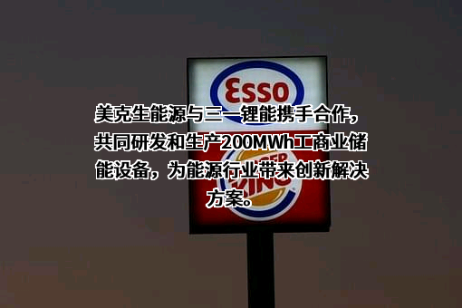 上海玫克生储能科技有限公司