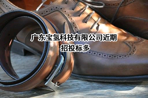 广东宝氢科技有限公司