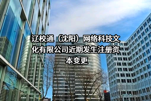 辽校通（沈阳）网络科技文化有限公司
