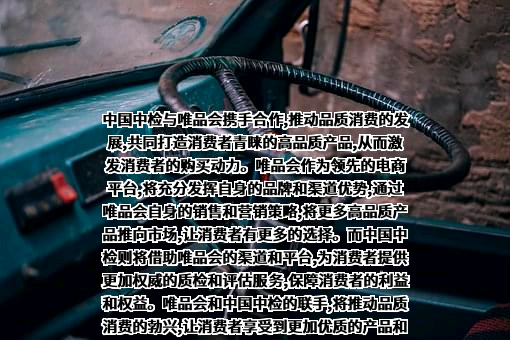 唯品会（中国）有限公司