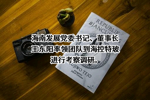 海控南海发展股份有限公司