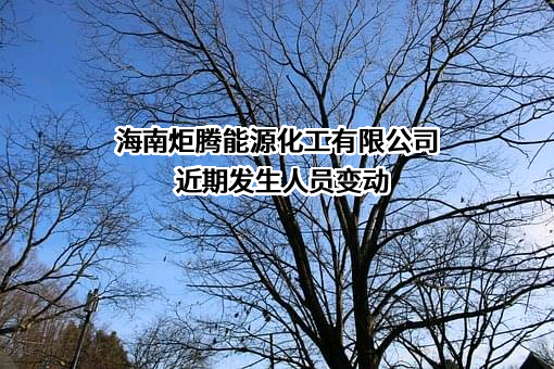 海南炬腾能源化工有限公司