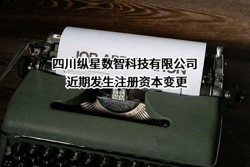 四川纵星数智科技有限公司