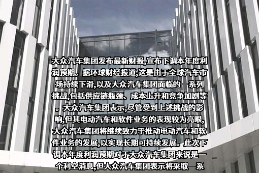 大众汽车（中国）投资有限公司