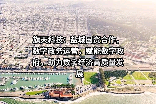 旗天科技集团股份有限公司