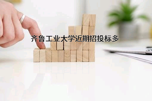 齐鲁工业大学