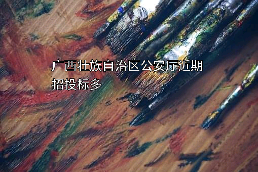 广西壮族自治区公安厅