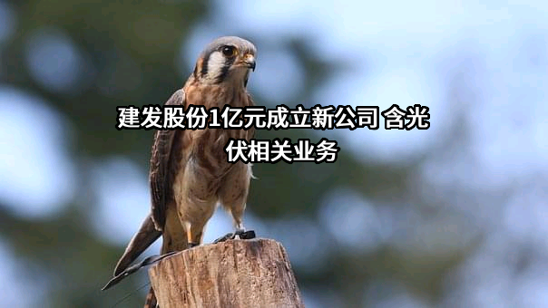 厦门建发股份有限公司