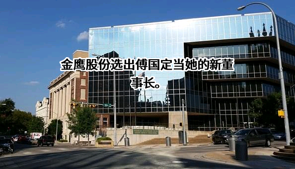 浙江金鹰股份有限公司