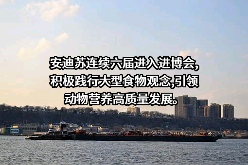蓝星安迪苏股份有限公司