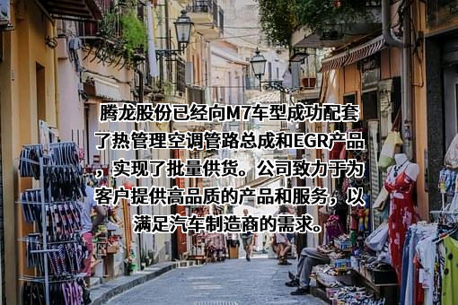 常州腾龙汽车零部件股份有限公司
