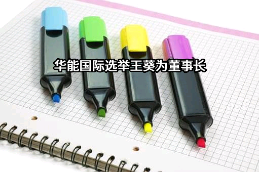 华能国际电力股份有限公司
