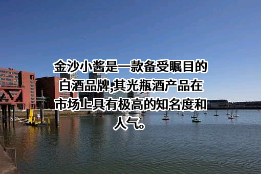 华润啤酒（控股）有限公司