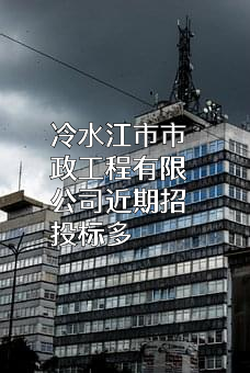 冷水江市市政工程有限公司