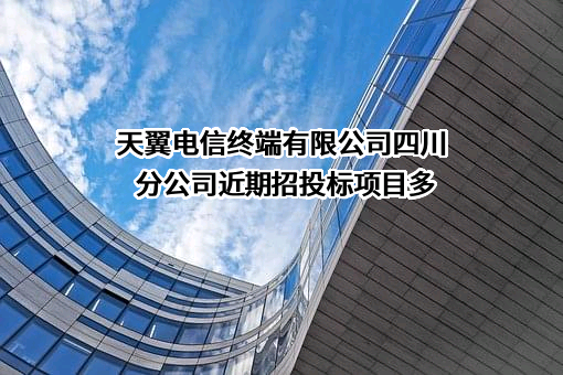 天翼电信终端有限公司四川分公司
