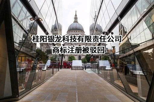 桂阳银龙科技有限责任公司商标注册被驳回
