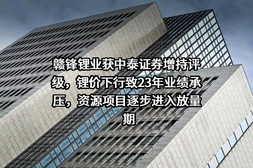 江西赣锋锂业股份有限公司