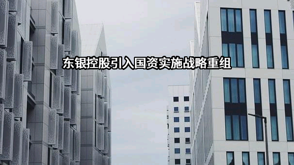 重庆东银控股集团有限公司