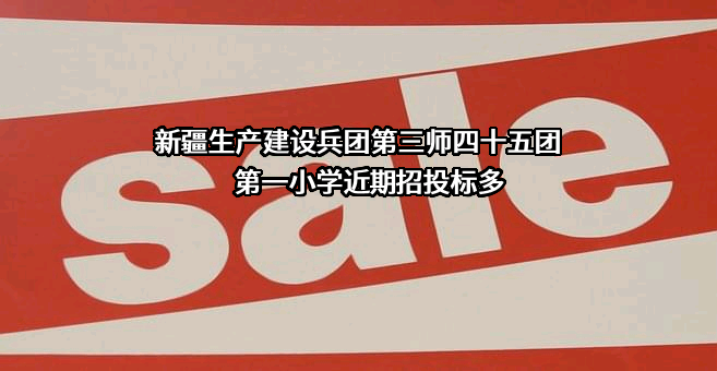 新疆生产建设兵团第三师四十五团第一小学近期招投标项目多