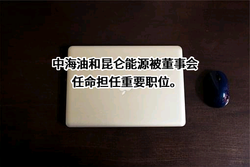 中国海洋石油有限公司