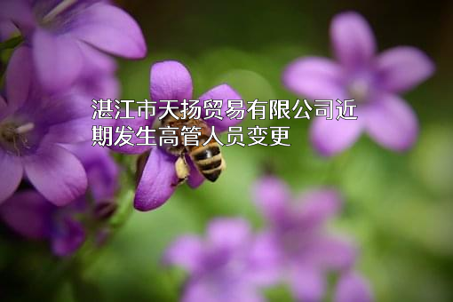 湛江市天扬贸易有限公司
