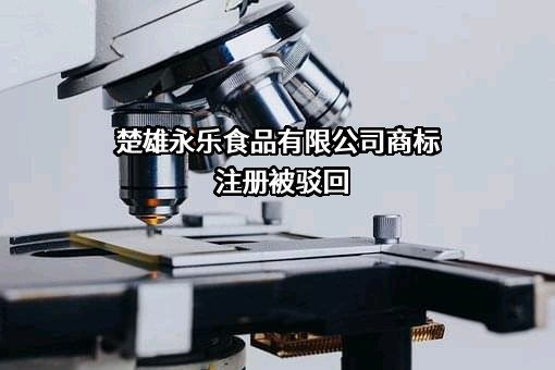 楚雄永乐食品有限公司商标注册被驳回