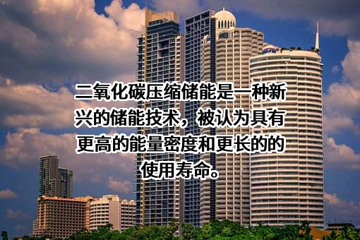 百穰新能源科技（深圳）有限公司