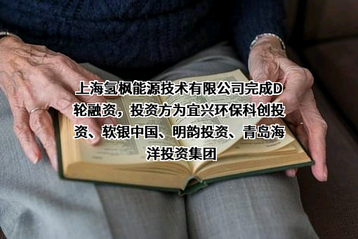 上海氢枫能源技术有限公司