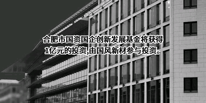 安徽国风新材料股份有限公司