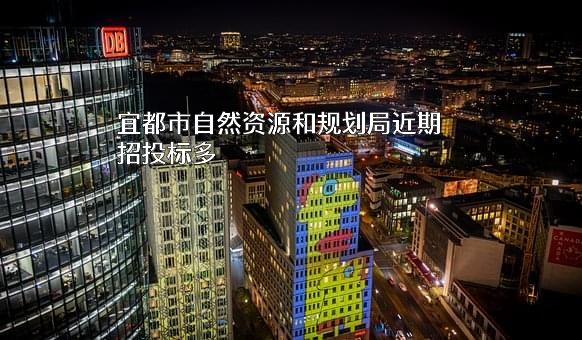 宜都市自然资源和规划局