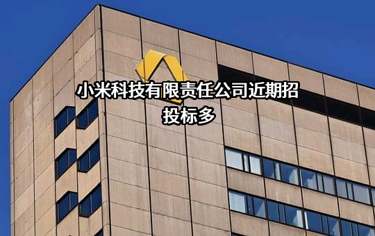 小米科技有限责任公司