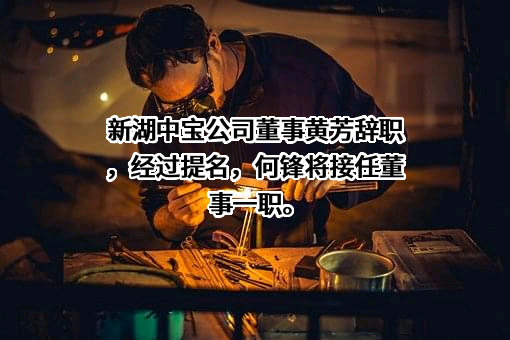 新湖中宝股份有限公司
