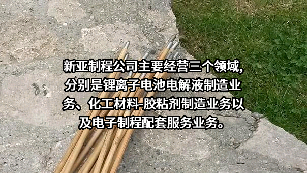 新亚制程（浙江）股份有限公司