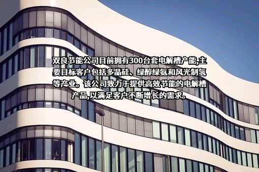 双良节能系统股份有限公司