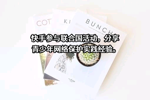 北京快手科技有限公司