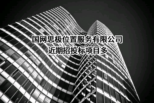 国网思极位置服务有限公司近期招投标项目多