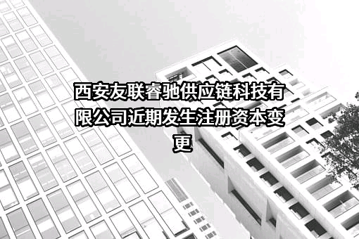 西安友联睿驰供应链科技有限公司