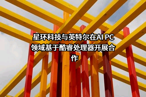 星环信息科技（上海）股份有限公司