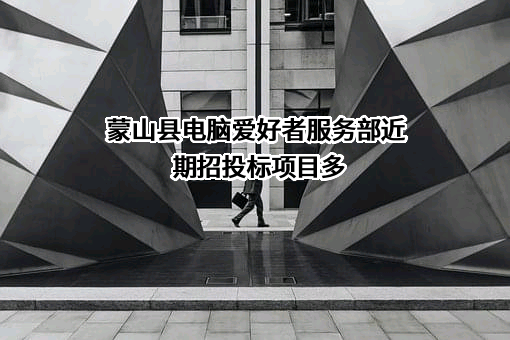 蒙山县电脑爱好者服务部近期招投标项目多