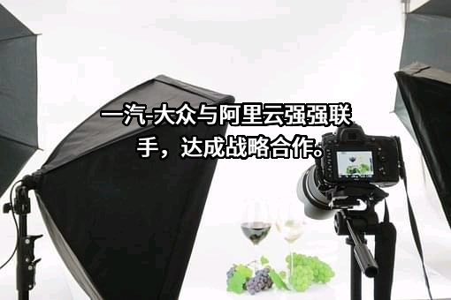 一汽—大众汽车有限公司