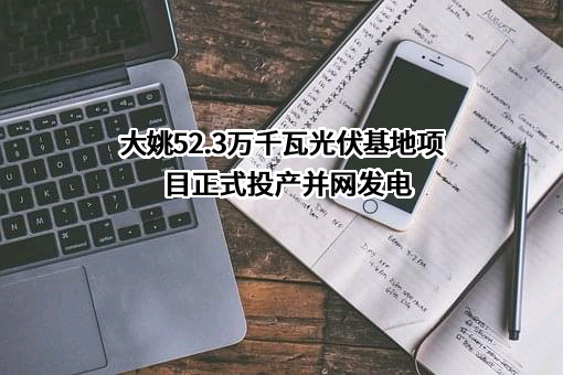 云南大姚农村商业银行股份有限公司