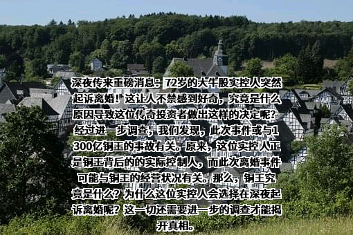 江苏正威新材料股份有限公司