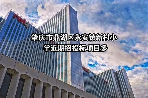 肇庆市鼎湖区永安镇新村小学