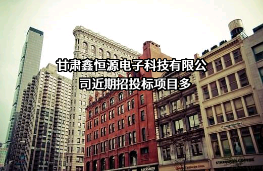 甘肃鑫恒源电子科技有限公司