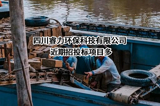 四川睿力环保科技有限公司