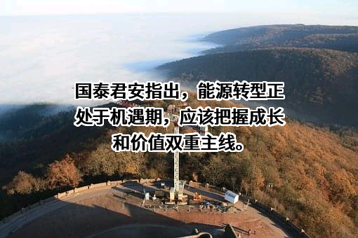 国泰君安证券股份有限公司